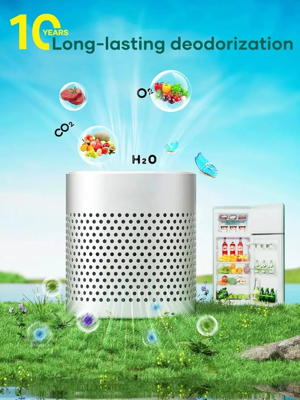 ZenSole® Fridge Purifier