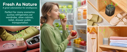 ZenSole® Fridge Purifier